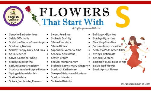 Flowers That Start With S – Download PDF Book