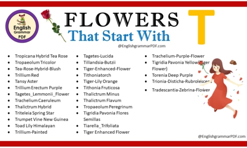 Flowers That Start With T – Download PDF Book