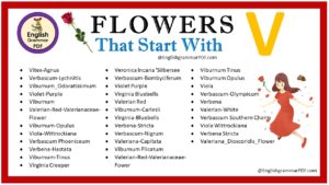 flowers that start with v