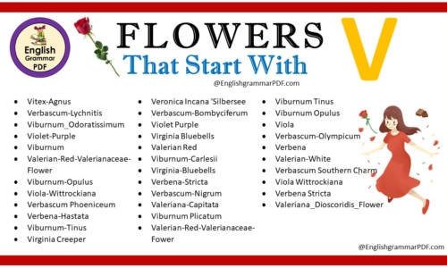 Flowers That Start With V – Download PDF Book