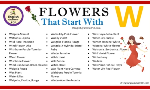 Flowers That Start With W – Download PDF Book