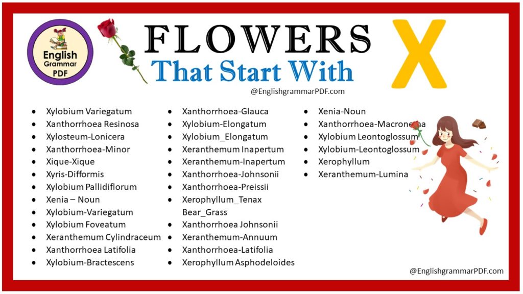 flowers that start with x