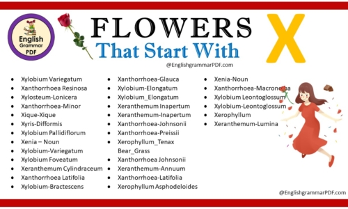 Flowers That Start With X – Download PDF Book