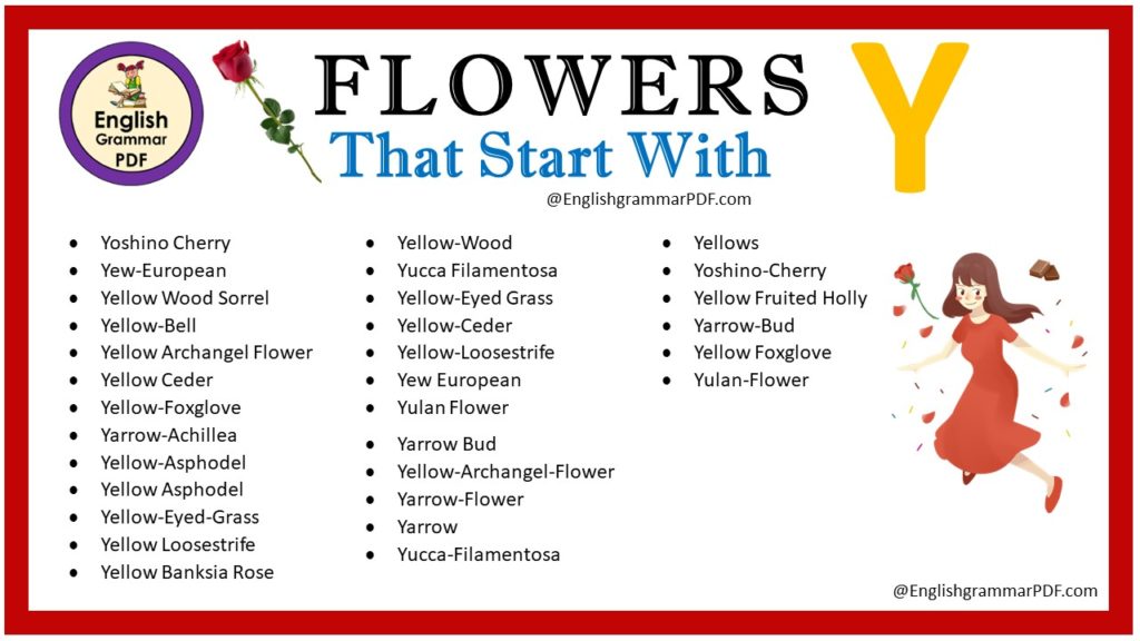 flowers that start with y