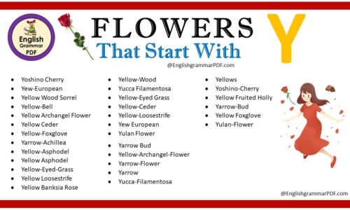 Flowers That Start With Y – Download PDF Book