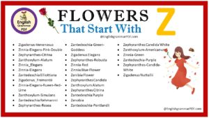 flowers that start with z