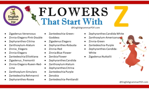 Flowers That Start With Z – Download PDF Book