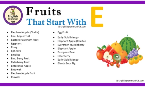 Fruit That Starts With E – Fruit Names List