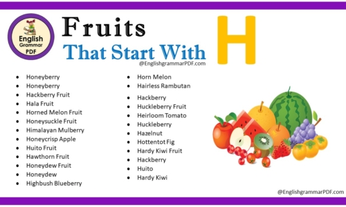 Fruit That Starts With H – Fruit Names List