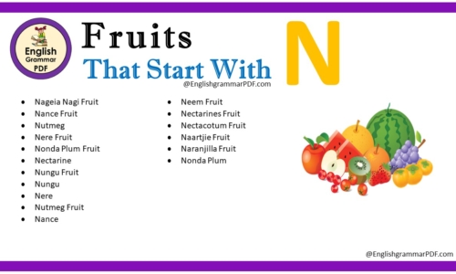 Fruit That Starts With N – Fruit Names List