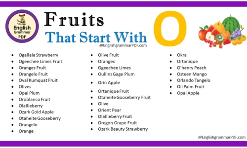 Fruit That Starts With O – Fruit Names List