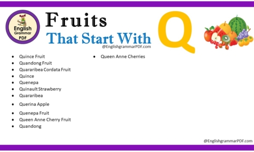 Fruit That Starts With Q – Fruit Names List