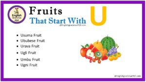 fruits that start with u