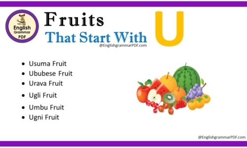 Fruit That Starts With U – Fruit Names List