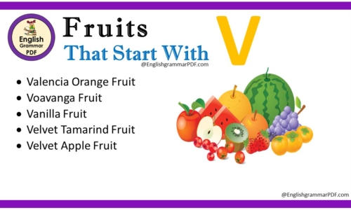 Fruit That Starts With V – Fruit Names List