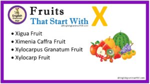 fruits that start with x