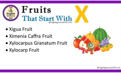 Fruit That Starts With X – Fruit Names List