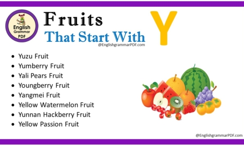 Fruit That Starts With Y – Fruit Names List