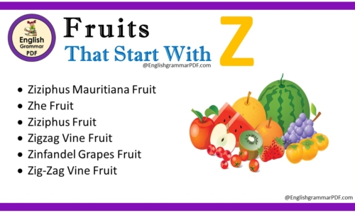 Fruit That Starts With Z – Fruit Names List