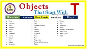 objects starting with t