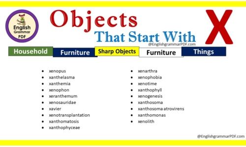 List Of Objects That Start With X – Download PDF