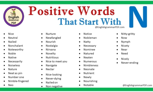 Positive Words That Start With N