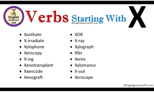 Verbs That Start With X