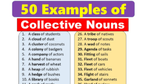 50 Examples of Collective Nouns