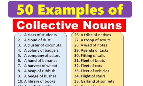 50 Examples of Collective Nouns