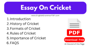 Essay On Cricket