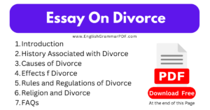 Essay On Divorce