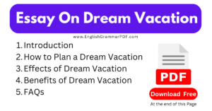 Essay On Dream Vacation