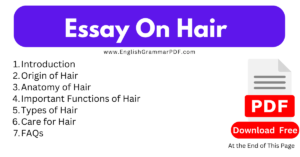 Essay On Hair