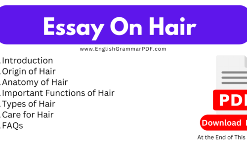 1000 Words Essay On Hair – Free English Essays