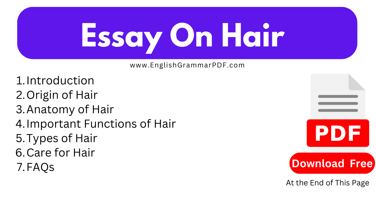 Essay On Hair