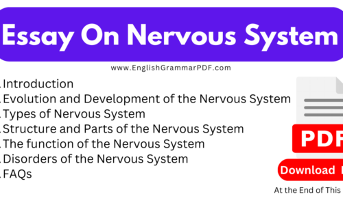 1000 Words Essay On Nervous System – Free English Essays