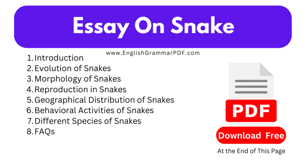 Essay On Snake