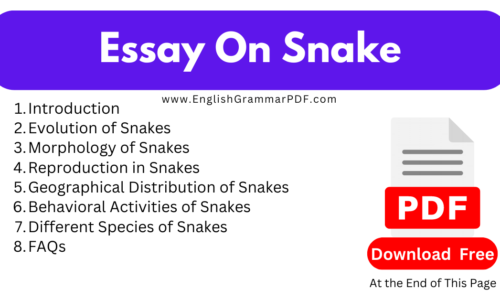 1000 Words Free Essay On Snake (Download PDF)