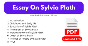 Essay On Sylvia Plath