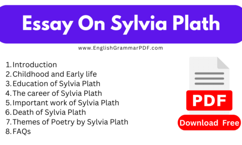 1000 Words Free Essay On Sylvia Plath