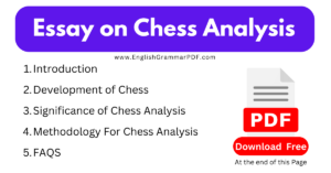 Essay on Chess Analysis