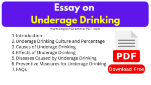 Essay on Underage Drinking