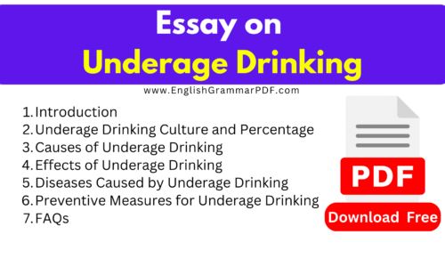 1000 Words Free Essay On Underage Drinking -(Download PDF)