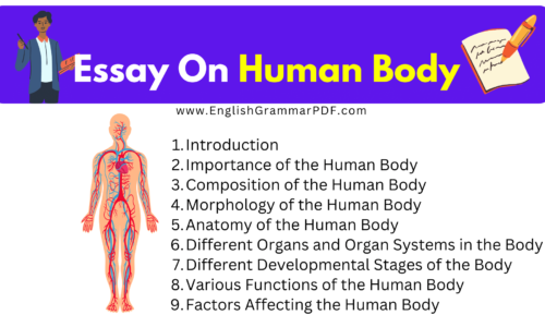 Essay On Human Body – Download Free | 2200 Words Essay