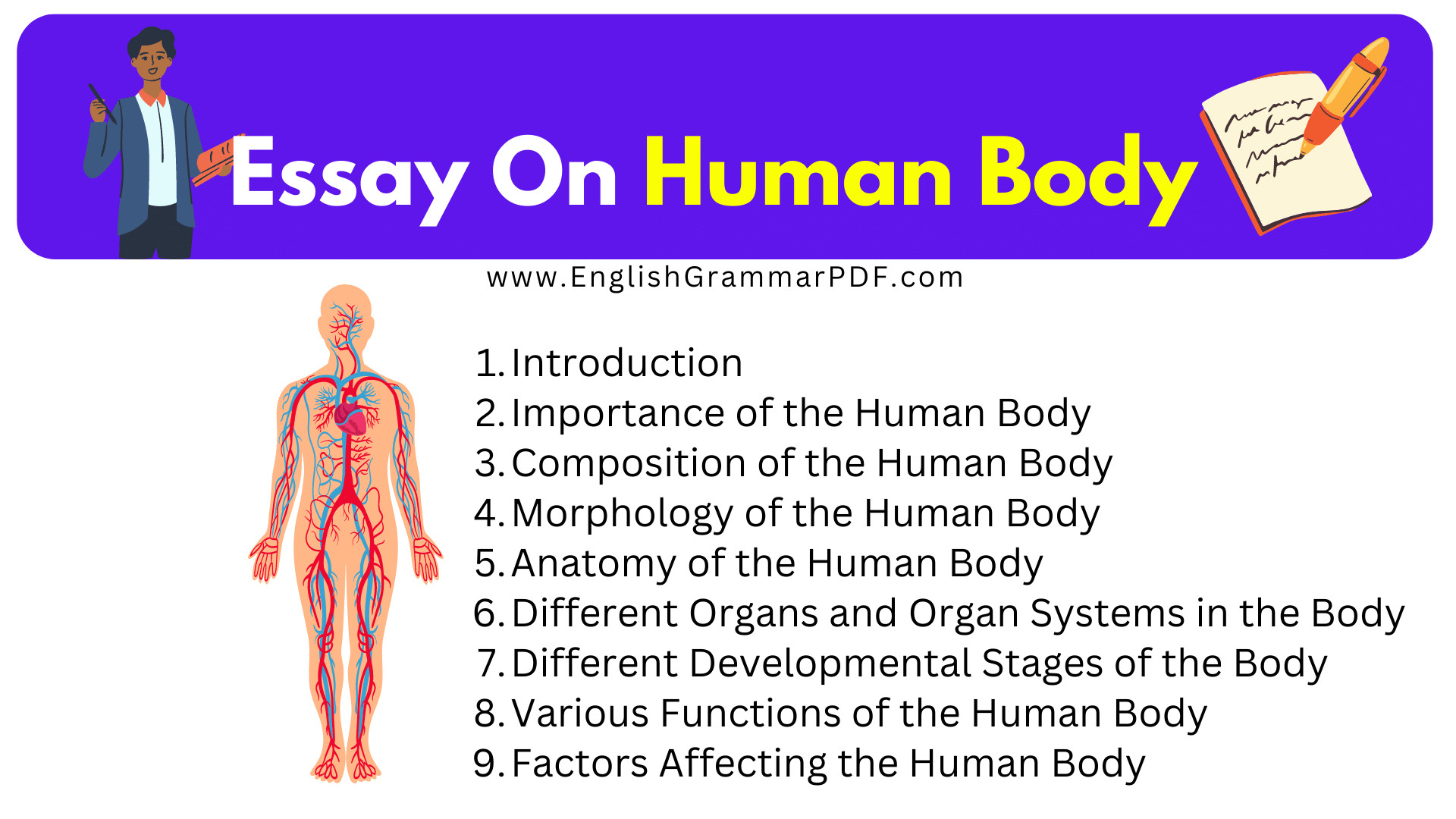 Essay On Human Body