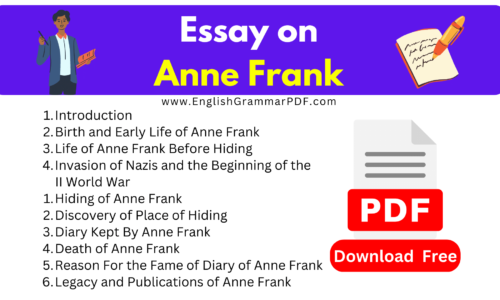 Essay On Anne Frank -1400 Words (Free Download)