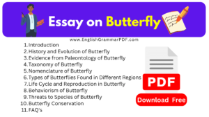 Essay on Butterfly