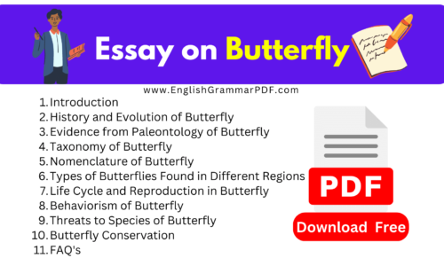 Essay On Butterfly -1400 Words (Free Download)