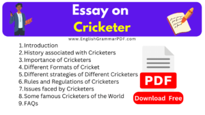 Essay on Cricketer