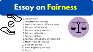 Essay on Fairness min